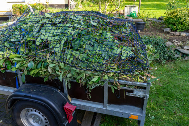 Best Electronics and E-Waste Disposal  in Potomac Heights, MD
